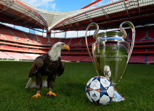 德甲前瞻：拜仁欧冠失利后德甲必须获胜，圣保利已遭遇8连败（德甲前瞻：欧冠受挫后拜仁急需三分，圣保利苦吞八连败）